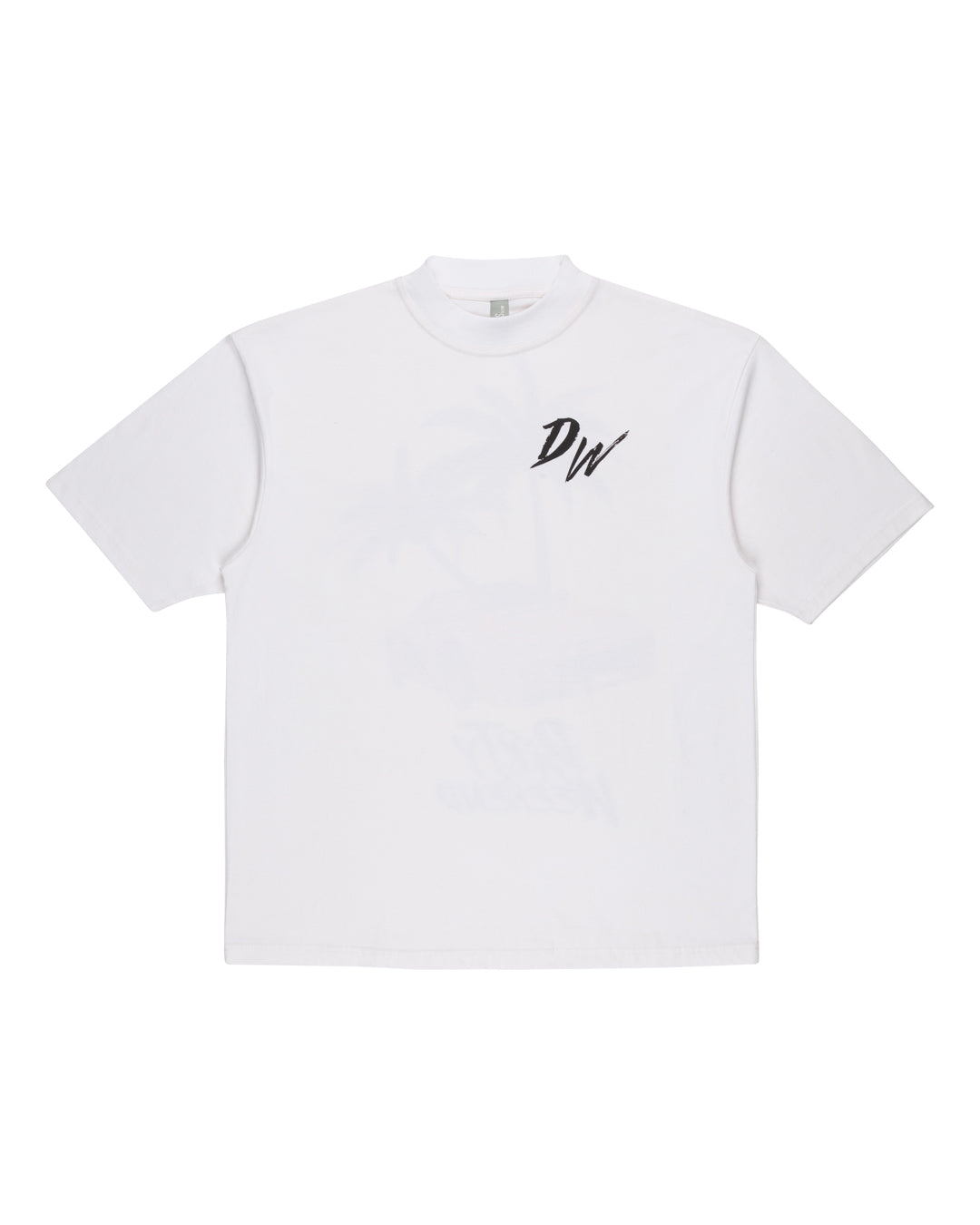 Dirty Weekend Oversized Fit T-Shirt in Black, White, Brown, and Vintage Gray